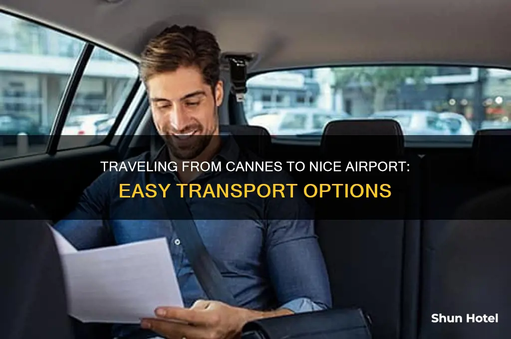 how to get from cannes to nice airport