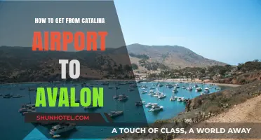 Traveling from Catalina Airport to Avalon: A Quick and Easy Guide