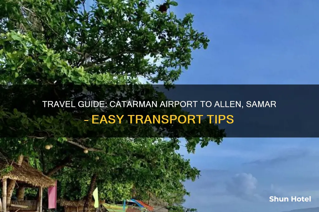 how to get from catarman airport to allen n samar