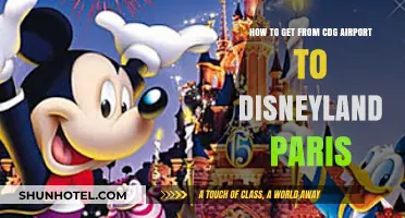 Easy CDG to Disneyland Paris Travel Guide: Best Transport Options