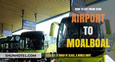 Cebu Airport to Moalboal: Easy Transportation Guide for Travelers