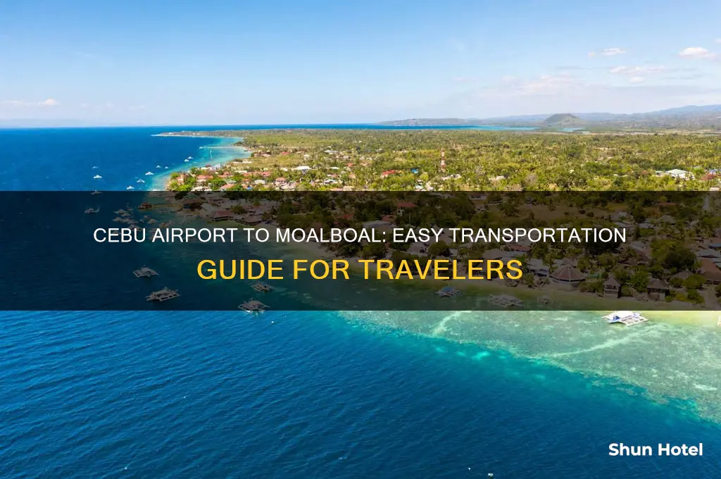 how to get from cebu airport to moalboal