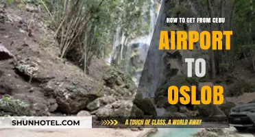 Cebu Airport to Oslob: Easy Transport Guide for Travelers