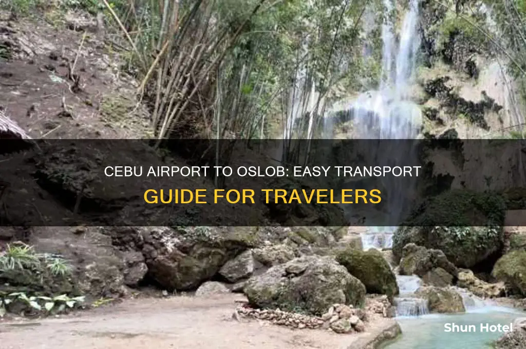 how to get from cebu airport to oslob
