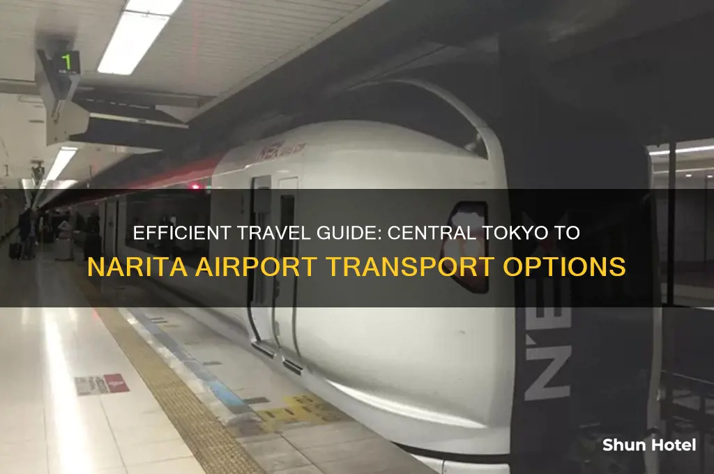 how to get from central tokyo to narita airport