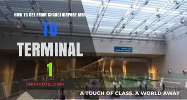 Navigating Changi Airport: MRT to Terminal 1 Quick Guide