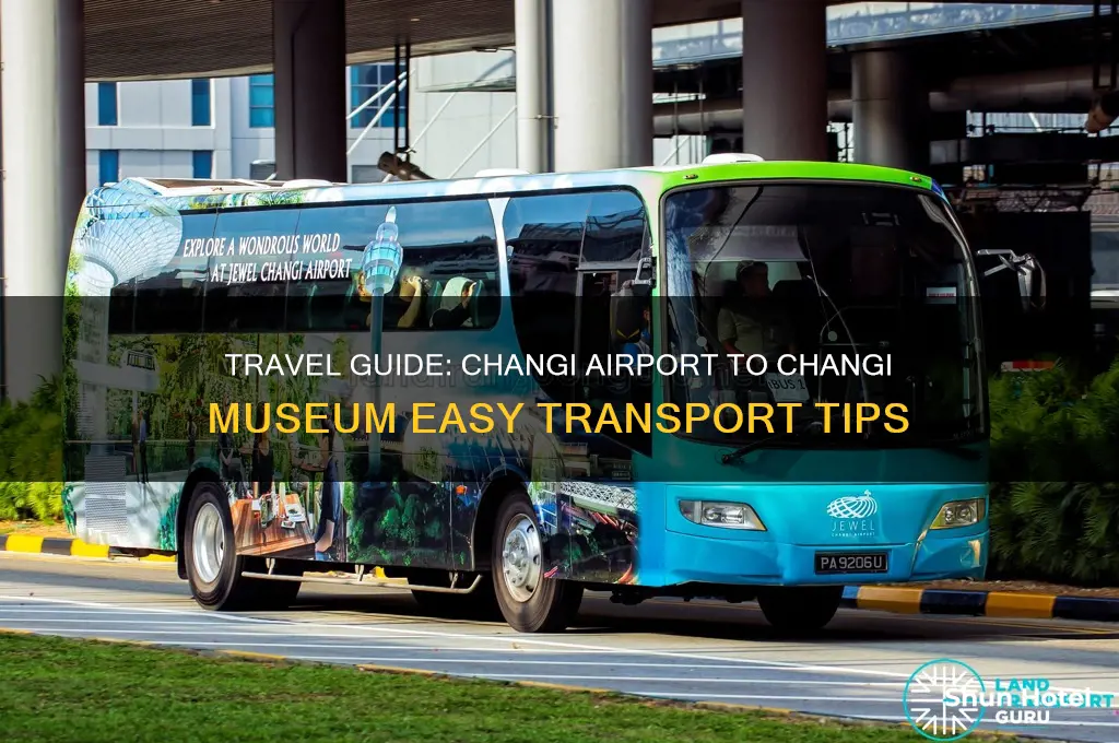 how to get from changi airport to changi museum