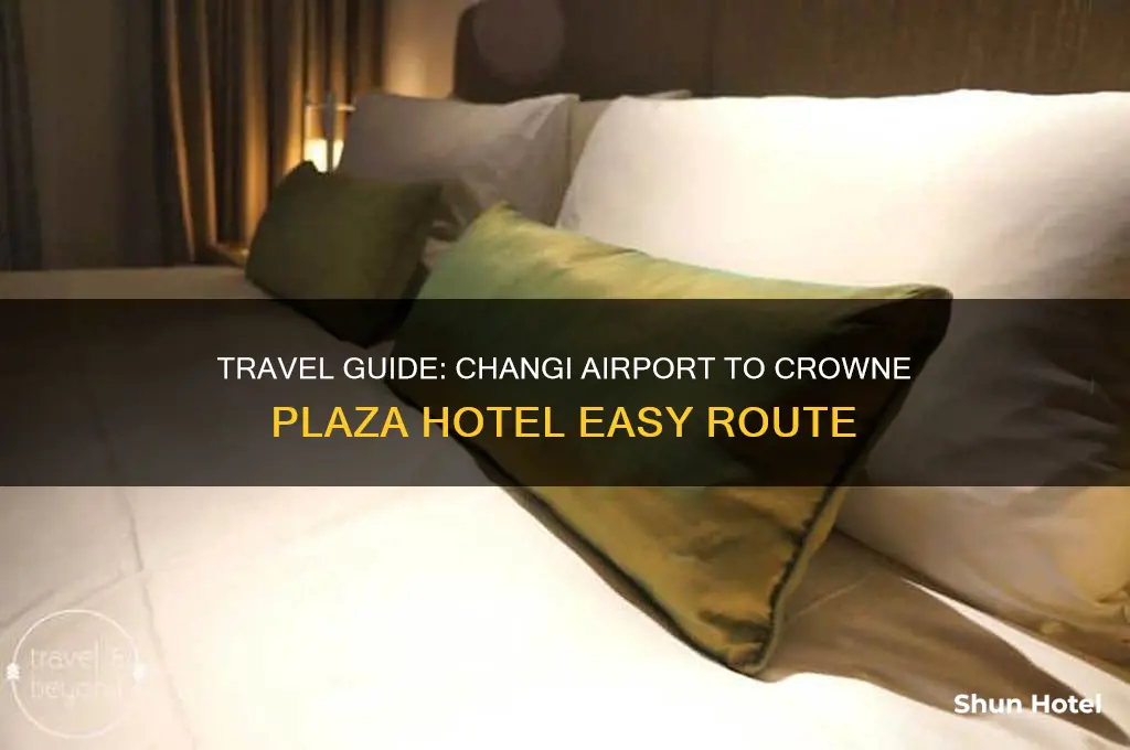how to get from changi airport to crowne plaza hotel