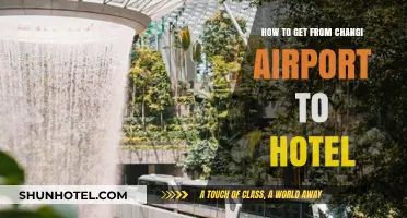 Easiest Ways to Travel from Changi Airport to Your Hotel
