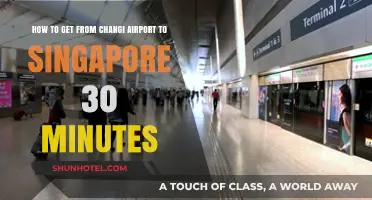 Quickest Route: Changi Airport to Singapore in 30 Minutes