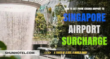 Avoid Singapore Airport Surcharge: Changi to City Transport Tips