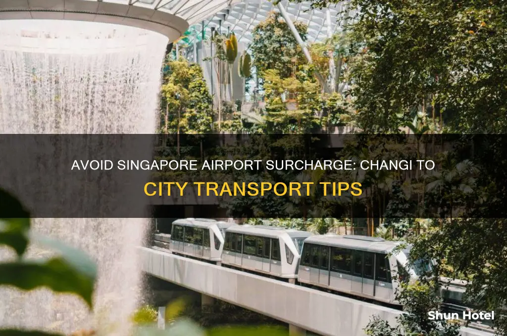 how to get from changi airport to singapore airport surcharge