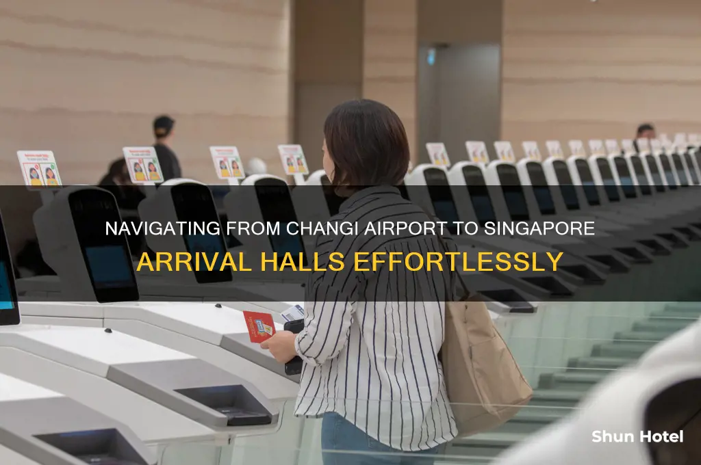 how to get from changi airport to singapore arrival halls