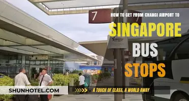 Changi Airport to Singapore Bus Stops: Easy Transit Guide