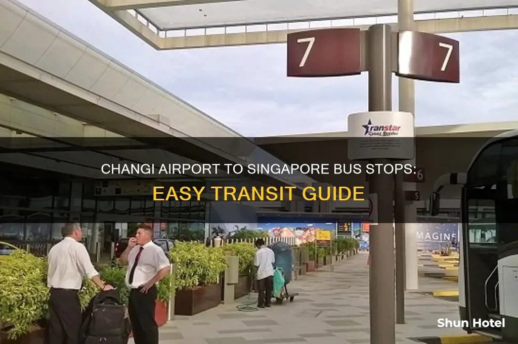 how to get from changi airport to singapore bus stops