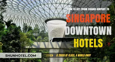 Changi Airport to Downtown Singapore: Quick & Easy Hotel Transfers