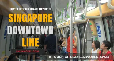 Changi Airport to Singapore Downtown Line: Quick & Easy Transit Guide