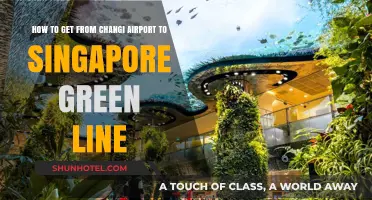 Changi Airport to Singapore Green Line: Quick & Easy Transit Guide