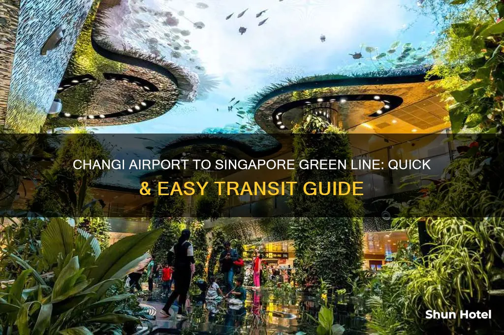 how to get from changi airport to singapore green line