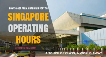 Changi Airport to Singapore: Transport Options and Operating Hours