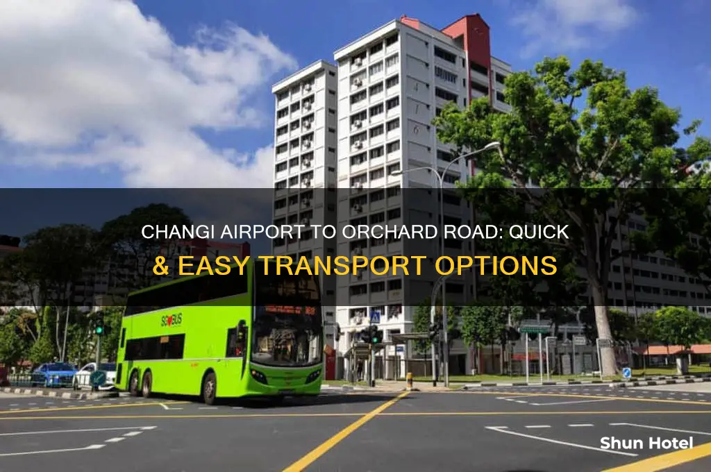 how to get from changi airport to singapore orchard road