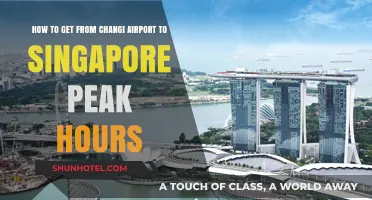 Navigating Singapore Peak Hours: Efficient Travel from Changi Airport