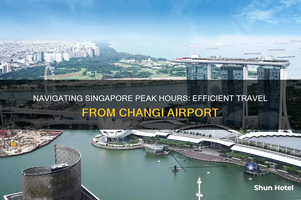 how to get from changi airport to singapore peak hours