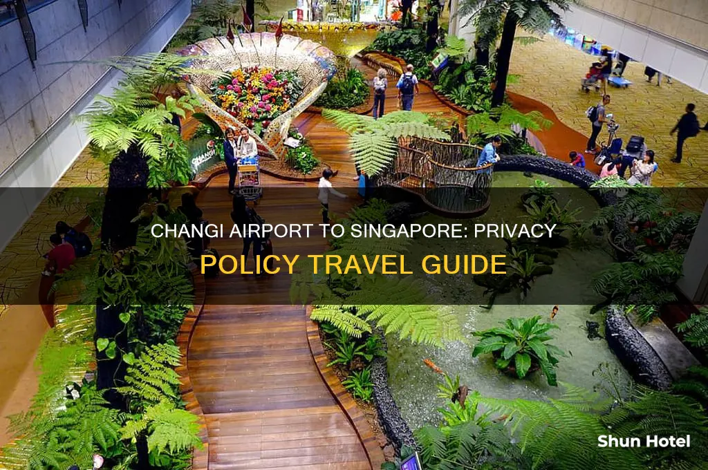 how to get from changi airport to singapore privacy policy