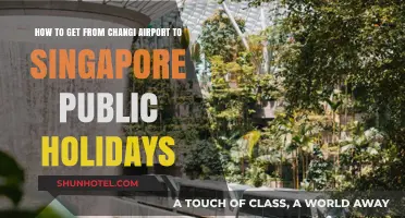 Navigating Singapore Public Holidays: Changi Airport to City Transport Guide