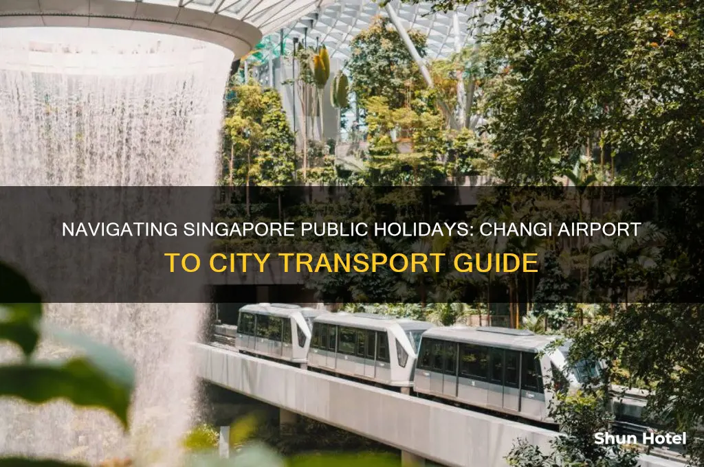 how to get from changi airport to singapore public holidays