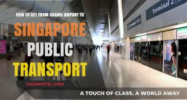 Changi Airport to Singapore: Easy Public Transport Guide