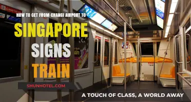 Navigating Singapore: Changi Airport to City via Signs Train