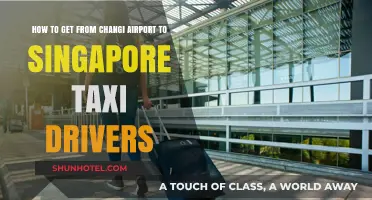 Changi Airport to Singapore: Taxi Tips for Smooth City Travel