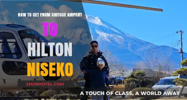Travel Guide: Chitose Airport to Hilton Niseko Transportation Options