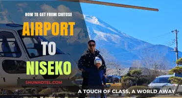 Chitose Airport to Niseko: Easy Transport Options & Travel Tips