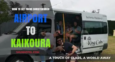 Christchurch Airport to Kaikoura: Easy Transport Options & Travel Tips