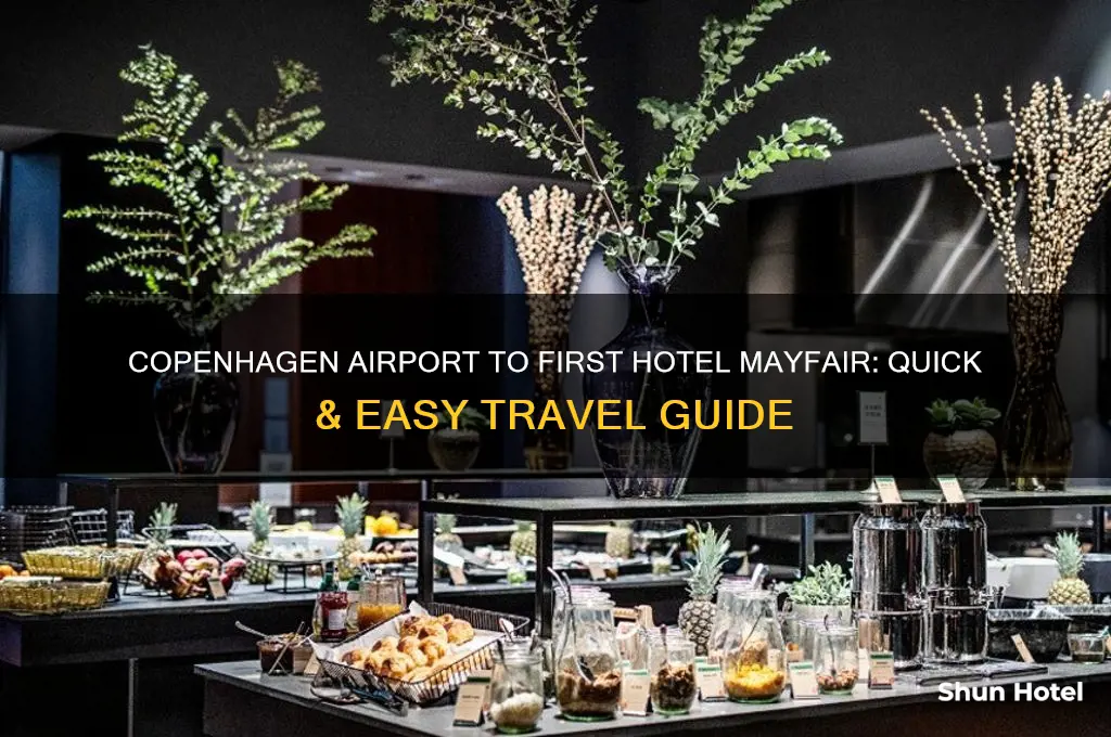 how to get from copenhagen airport to first hotel mayfair