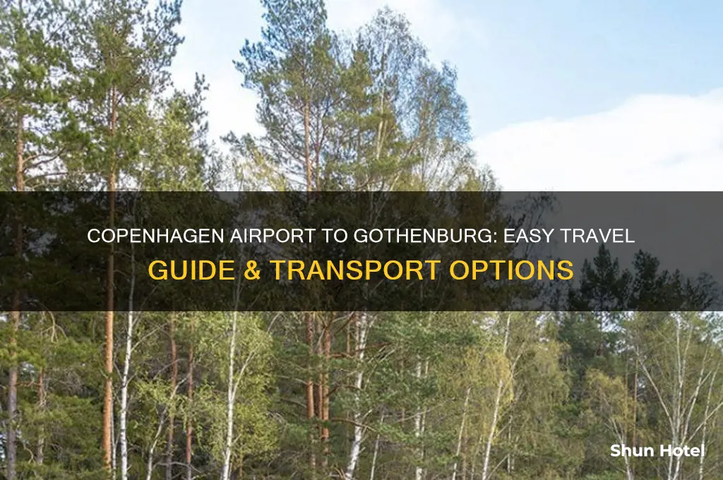 how to get from copenhagen airport to gothenburg