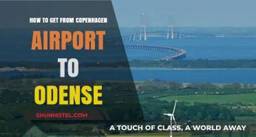 Copenhagen Airport to Odense: Easy Transport Options and Travel Tips