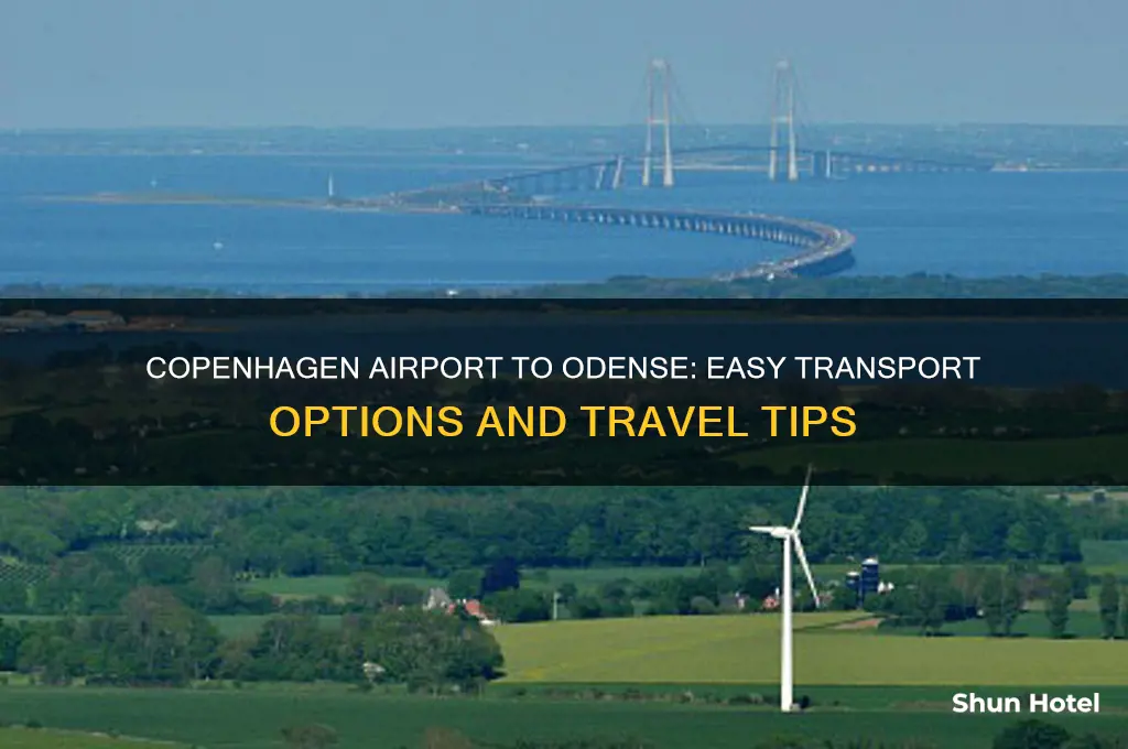 how to get from copenhagen airport to odense