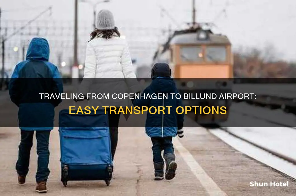 how to get from copenhagen to billund airport
