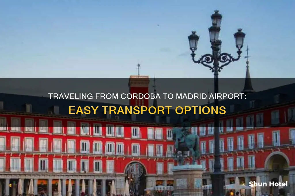 how to get from cordoba to madrid airport