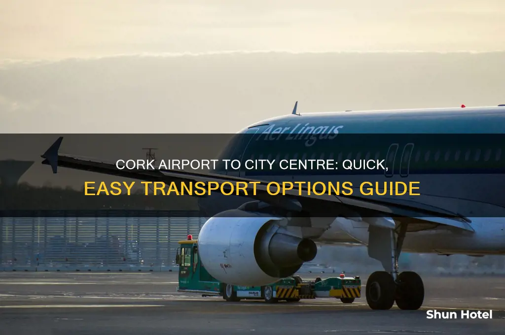 how to get from cork airport to city centre