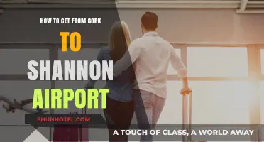 Traveling from Cork to Shannon Airport: Easy Transport Options