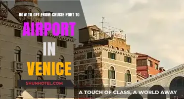 Venice Cruise Port to Airport: Easy Transportation Guide for Travelers