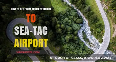 Cruise to Flight: Seamless Transport from Terminal to Sea-Tac Airport