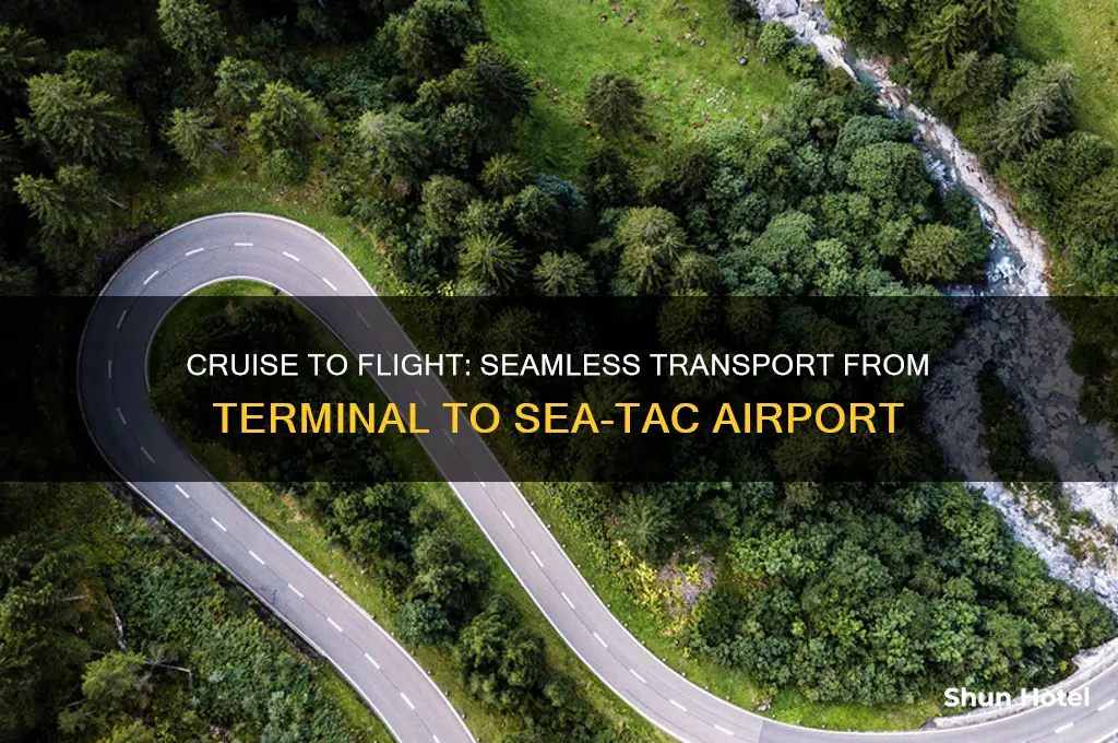 how to get from cruise terminal to sea-tac airport