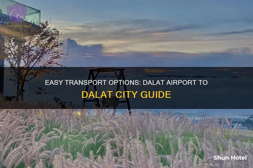 how to get from dalat airport to dalat