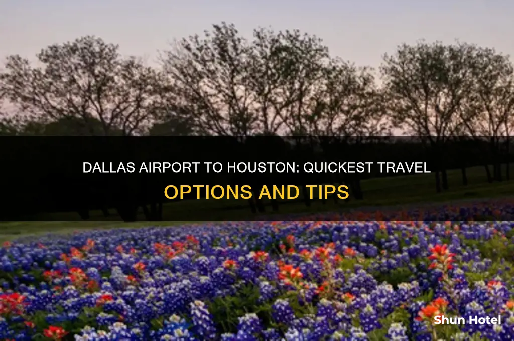 how to get from dallas airport to houston