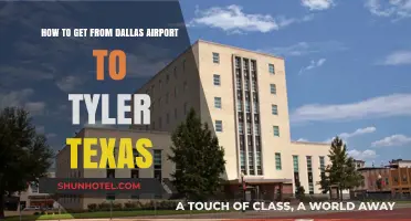 Travel Guide: Dallas Airport to Tyler, Texas Transportation Options